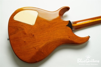 Standard 6 Strings - Transparent Amber