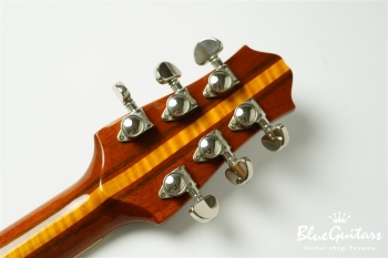 Standard 6 Strings - Transparent Amber