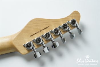 FUTURA-S HH Flame Maple Top, Fiji Mahogany back - Faded Lazuli Blue