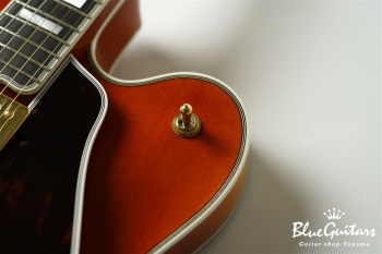 ST-BL Model - Iced Tea Burst