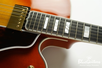 ST-BL Model - Iced Tea Burst