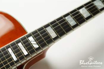ST-BL Model - Iced Tea Burst