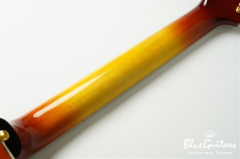 ST-BL Model - Iced Tea Burst