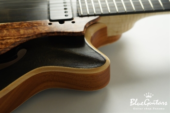 Arcus Archtop -  Suiboku