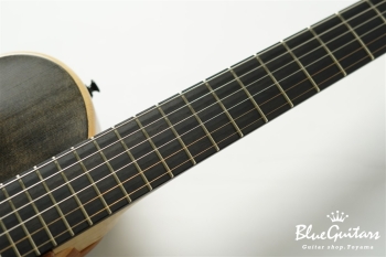 Arcus Archtop -  Suiboku