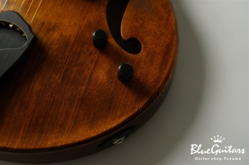 Arcus Thinbody Archtop - Organic Texture