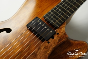 Arcus Thinbody Archtop - Organic Texture