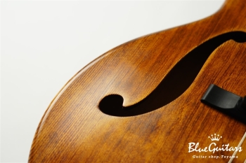 Arcus Thinbody Archtop - Organic Texture