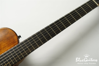 Arcus Thinbody Archtop - Organic Texture