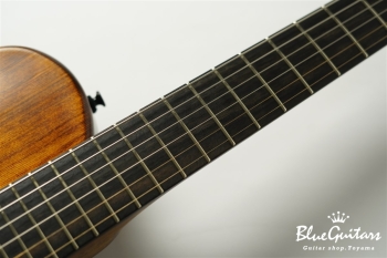 Arcus Thinbody Archtop - Organic Texture