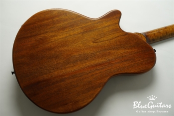 Arcus Thinbody Archtop - Organic Texture