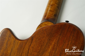 Arcus Thinbody Archtop - Organic Texture