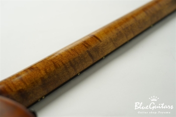 Arcus Thinbody Archtop - Organic Texture