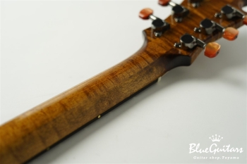 Arcus Thinbody Archtop - Organic Texture