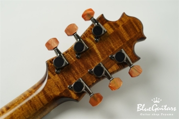 Arcus Thinbody Archtop - Organic Texture