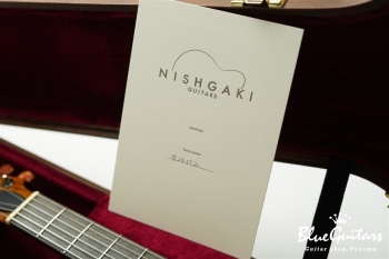 Arcus Thinbody Archtop - Organic Texture