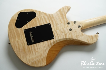 Amnis Novus Hiroshi Shibasaki Specs