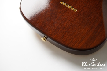 ROSETTEE SPRUCE HT SP’24/NJ - NA-NB