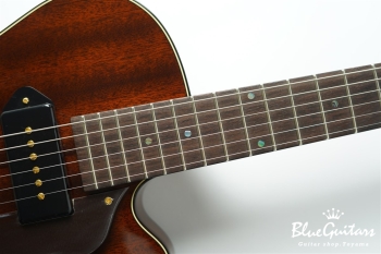 Ladybug Mahogany-TBC  (P-90) - Brown