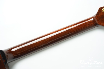 Ladybug Mahogany-TBC  (P-90) - Brown