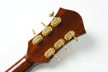 Ladybug Mahogany-TBC  (P-90) - Brown