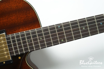 Ladybug Mahogany-TBC HB - Brown