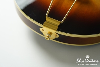Ladybug SM-TBC  (P-90) - Vintage Sunburst