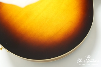 Ladybug SM-TBC  (P-90) - Vintage Sunburst