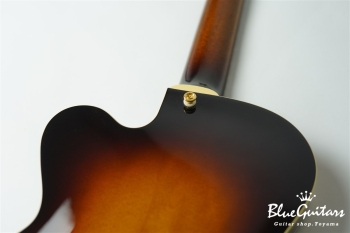 Ladybug SM-TBC  (P-90) - Vintage Sunburst