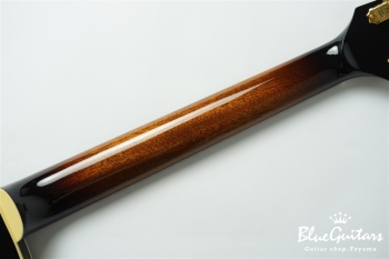 Ladybug SM-TBC  (P-90) - Vintage Sunburst