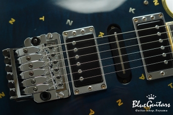 SG-T Masayoshi Takanaka Signature Model - See Through Navy