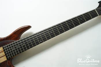 MB-R 6st Custom Cocobolo top/1pc Ash Back
