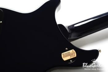 Tak Matsumoto DC Standard Aqua Blue 2nd Edition