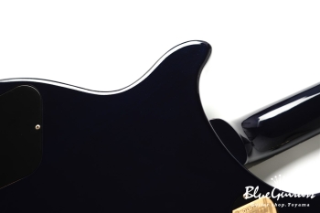 Tak Matsumoto DC Standard Aqua Blue 2nd Edition