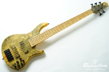 DLS549 #455 10th Anniversary Model