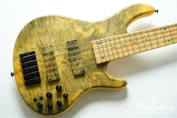 DLS549 #455 10th Anniversary Model