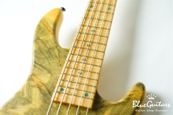 DLS549 #455 10th Anniversary Model