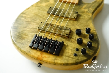 DLS549 #455 10th Anniversary Model