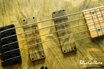 DLS549 #455 10th Anniversary Model