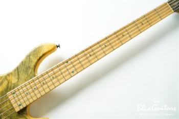 DLS549 #455 10th Anniversary Model