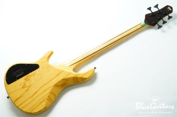 DLS549 #455 10th Anniversary Model