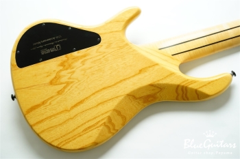 DLS549 #455 10th Anniversary Model