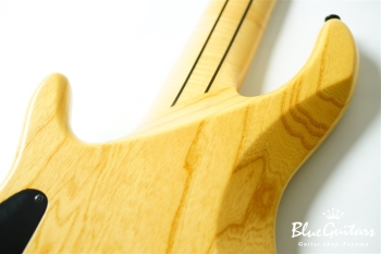 DLS549 #455 10th Anniversary Model