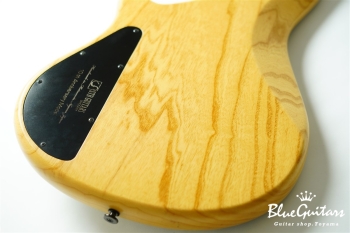 DLS549 #455 10th Anniversary Model