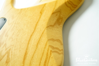 DLS549 #455 10th Anniversary Model