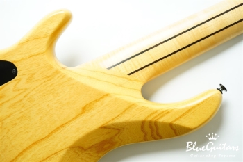 DLS549 #455 10th Anniversary Model