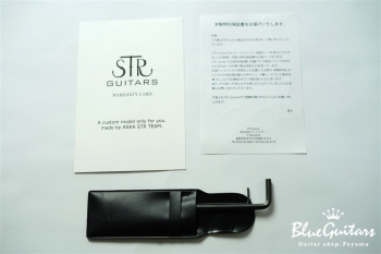 DLS549 #455 10th Anniversary Model