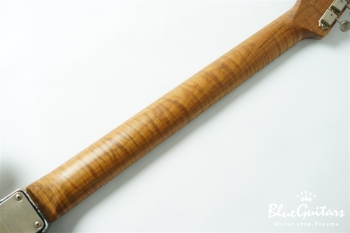 XSC-4 - Black over Sherwood Green Heavy Aged / Alder / RM-R #3561