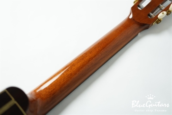 NR-3CW / 650mm Engelmann Spruce