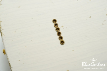 XTC-1 White Blonde Heavy Aged / Ash / Roasted Flame Maple / Gold Parts #3563